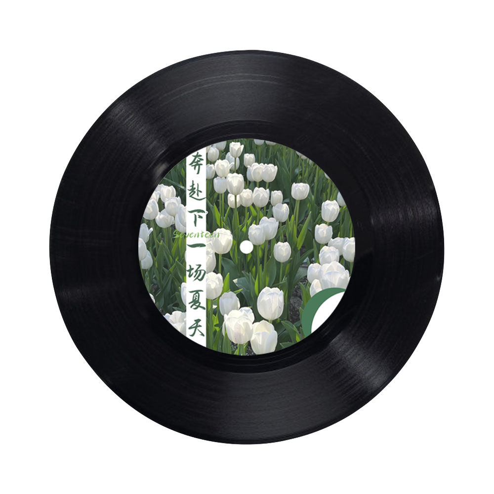 奔赴下一场夏天